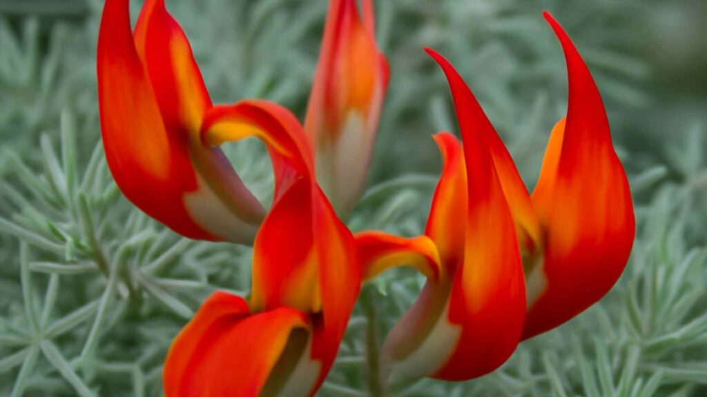 Untitled design 8 optimized