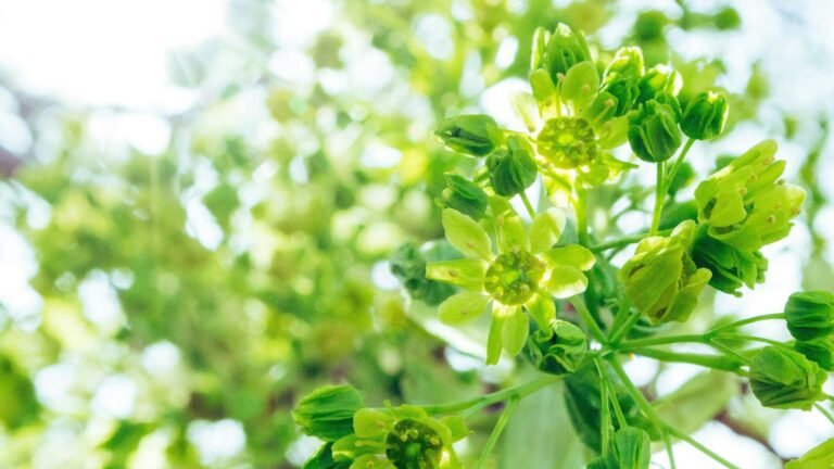 Rare Green Flowers