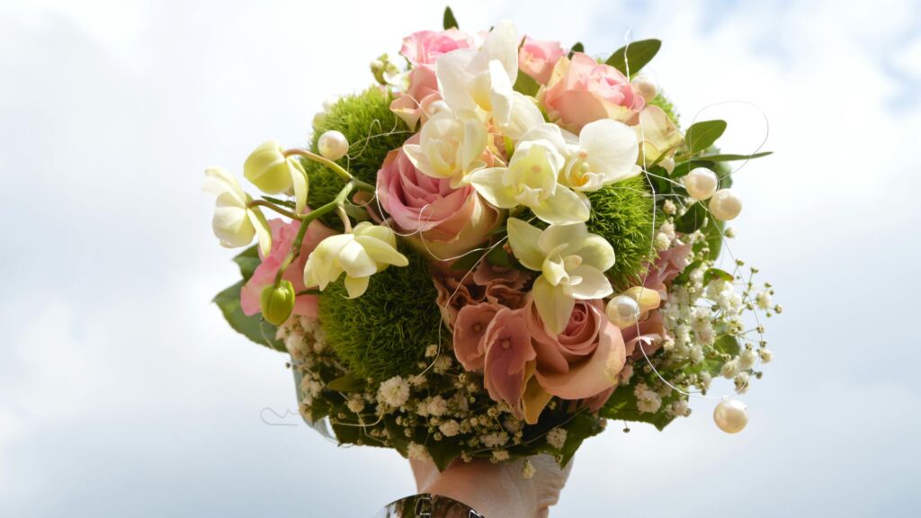 Swaddled Babies Orchid