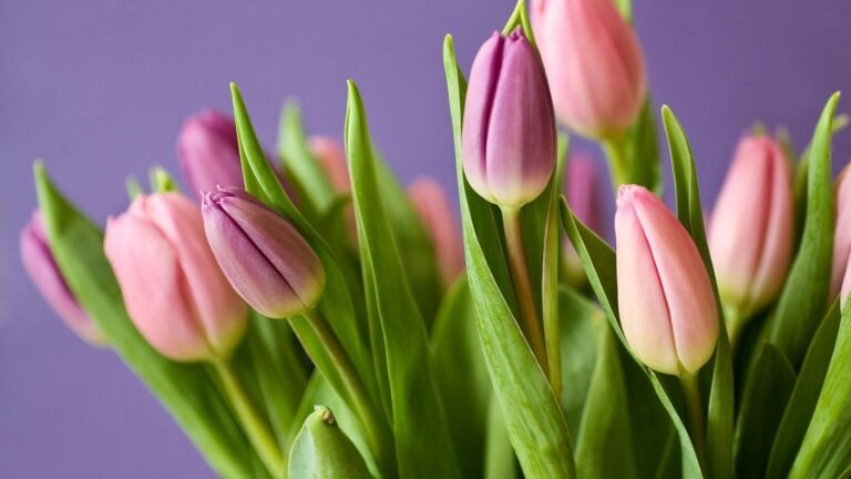 Rare Pink Flowers