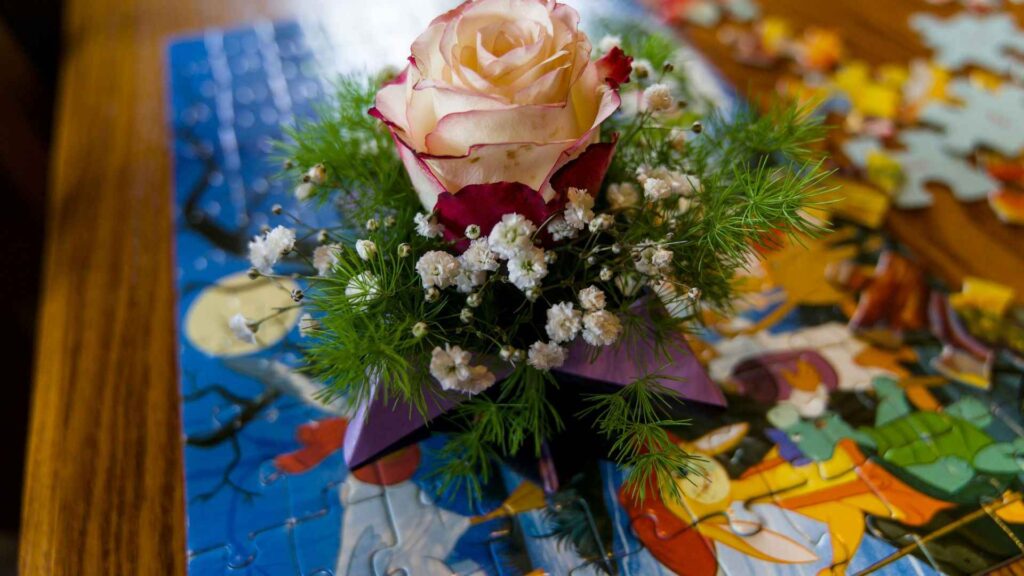 Christmas Rose: A Flower of Hope in Winter