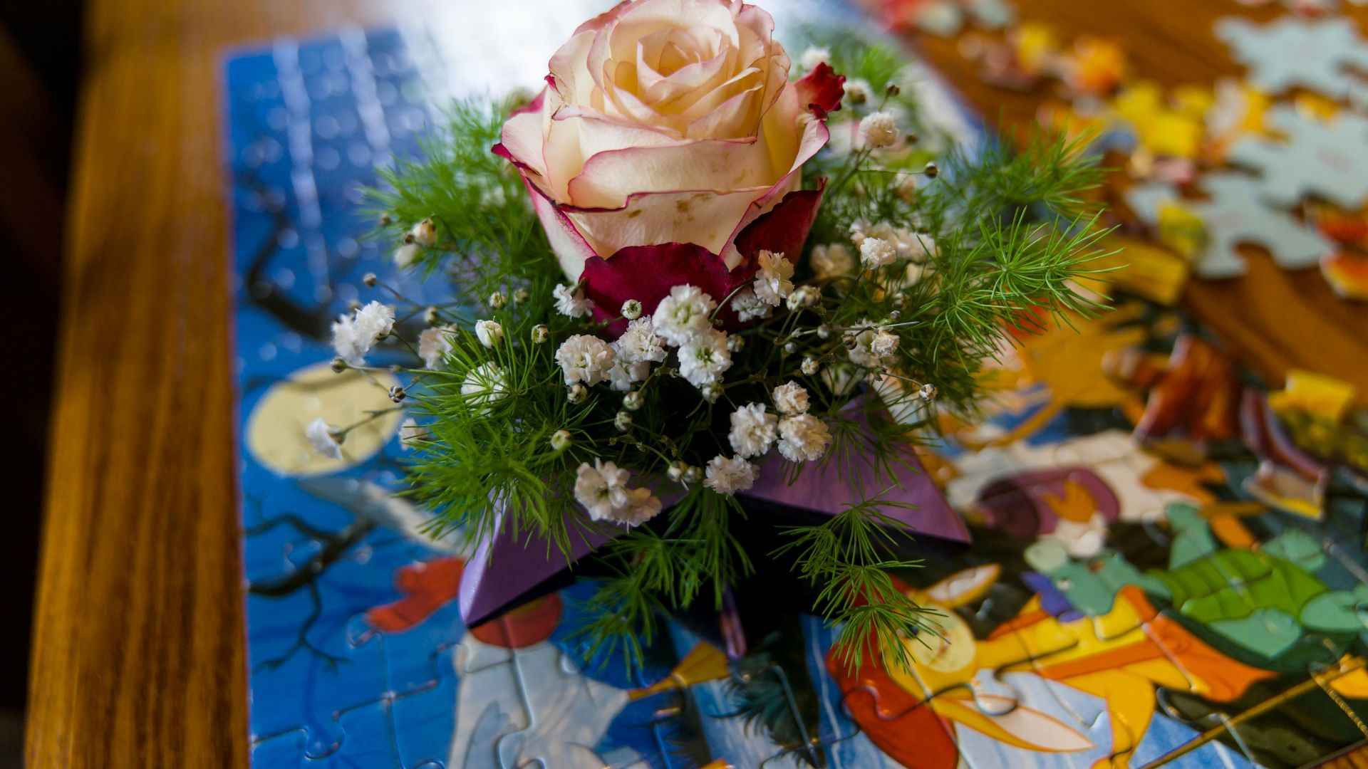 Christmas Rose: A Flower of Hope in Winter