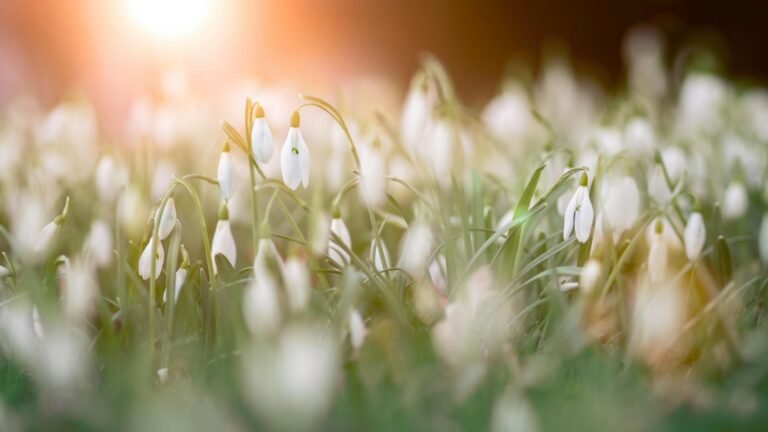 Rare Flowers in Europe