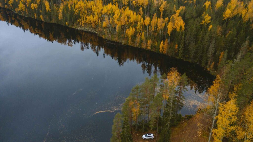 Christmas Trees Meaning, History, and Symbolism