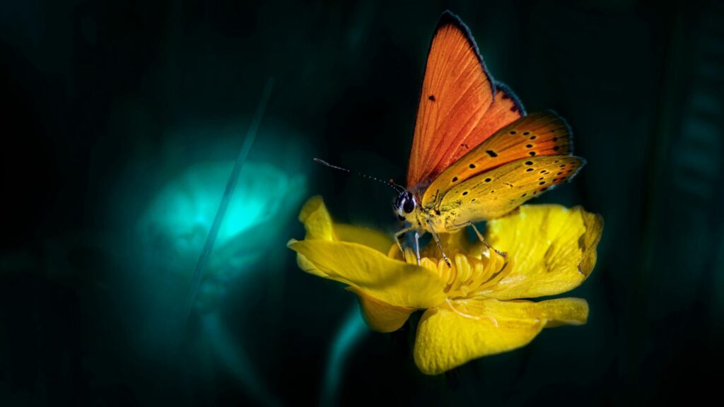 How Rare Flowers Survive in Extreme Environments 3 1 30